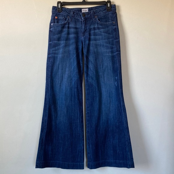 Hudson Jeans Denim - Hudson Jeans Woodstock jeans size 25